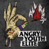 Angry Youth Elite - All Riot Lp