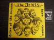 The Idiots - Cries Of The Insane