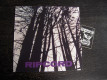 Ripcord - Discography Part III - From Demo Slaves To Radiowaves