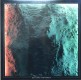 Fliehende Stürme - Die Tiere schweigen LP