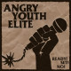 Angry Youth Elite - Ready! Set! No! Lp